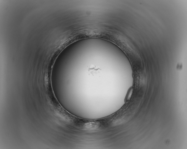 X0000096180700200802011342