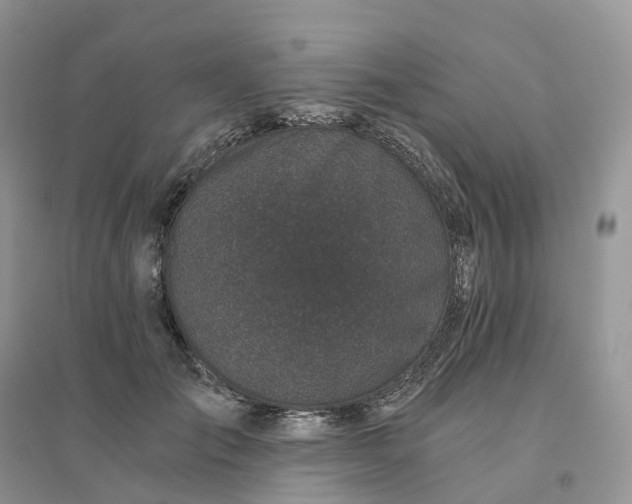 X0000096180701200802011342