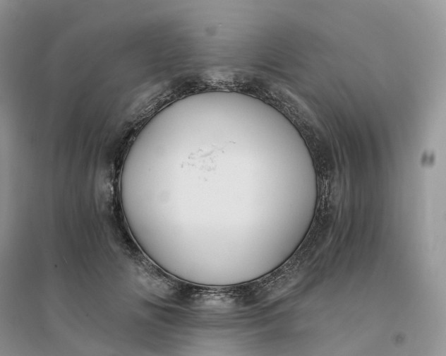 X0000096180702200802011342