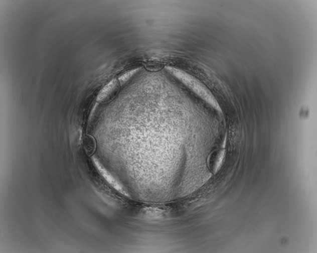 X0000096180703200802011342