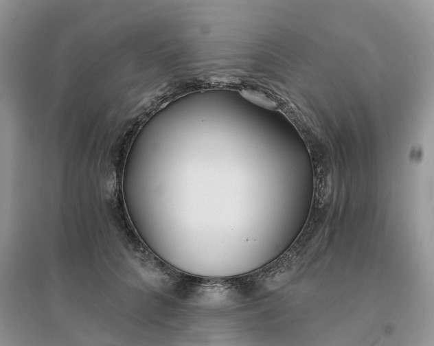 X0000096180704200802011342
