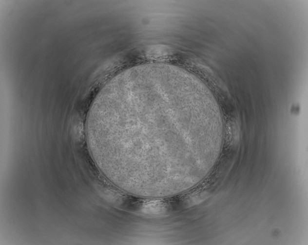 X0000096180705200802011342