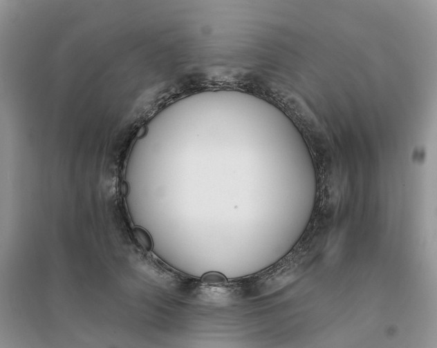 X0000096180706200802011342