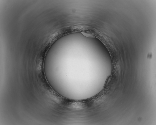 X0000096180708200802011342