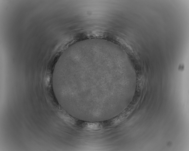X0000096180709200802011342
