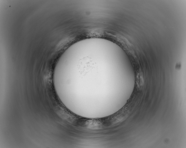 X0000096180714200802011342