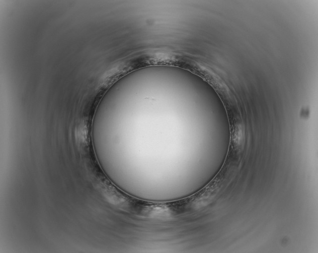 X0000096180715200802011342
