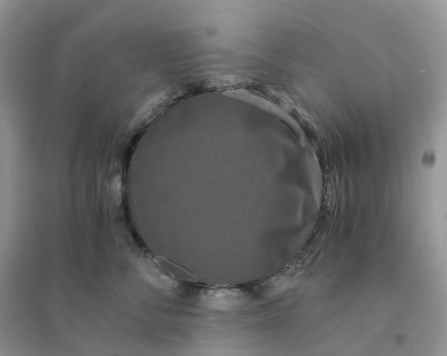 X0000096180716200802011342