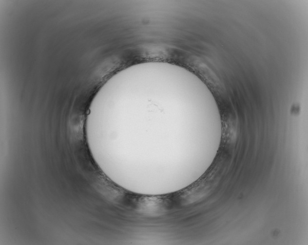 X0000096180717200802011342