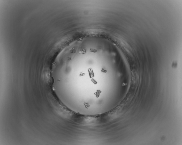X0000096180718200802011342