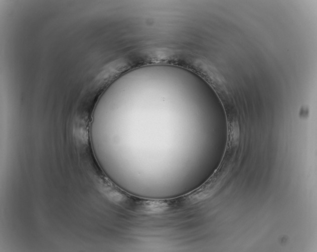 X0000096180719200802011342