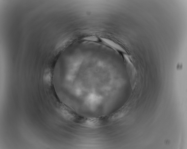 X0000096180720200802011342