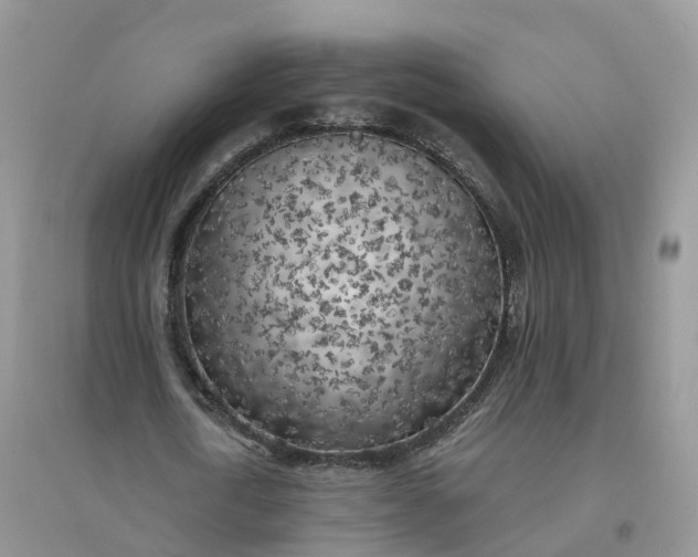 X0000096180722200802011341