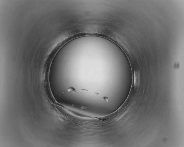 X0000096180723200802011341