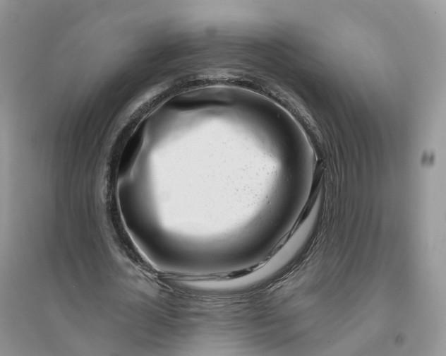 X0000096180724200802011341
