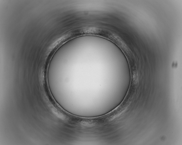X0000096180725200802011341