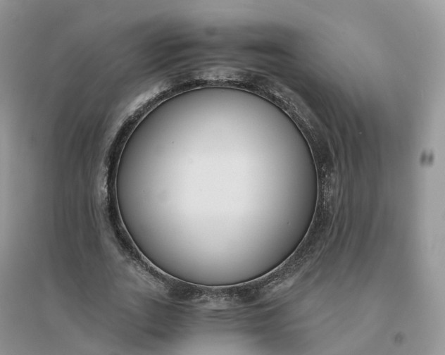 X0000096180727200802011342