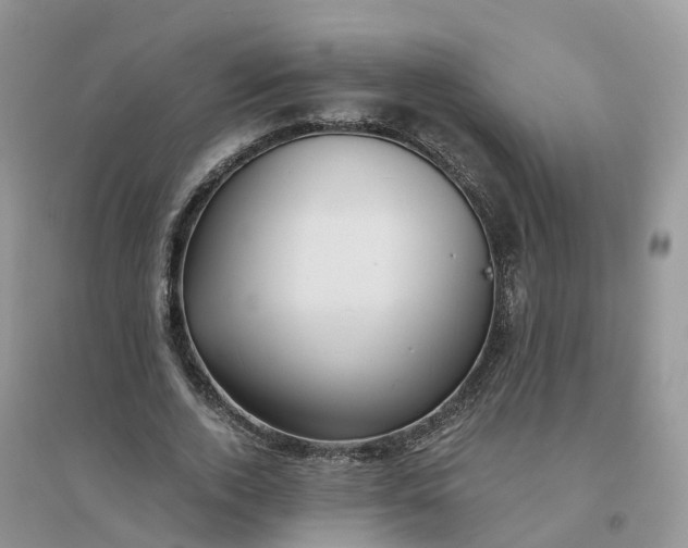 X0000096180728200802011342