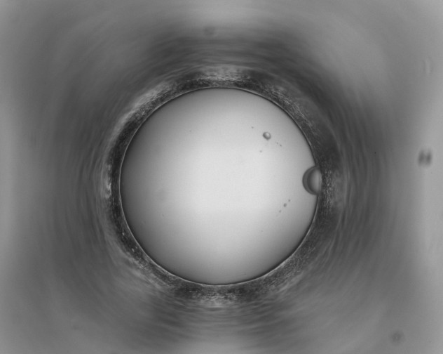 X0000096180731200802011342