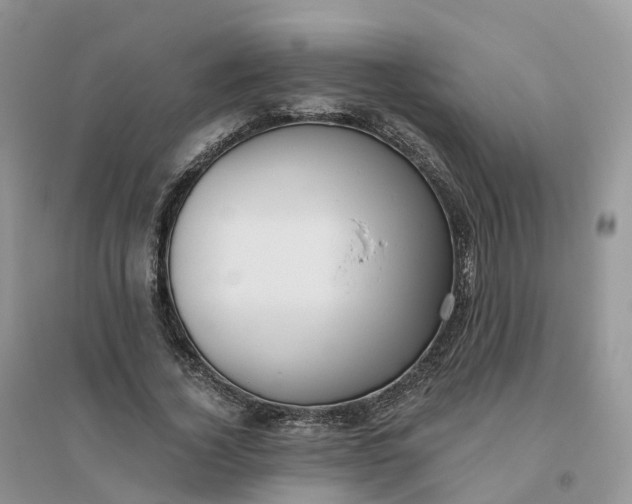 X0000096180732200802011342