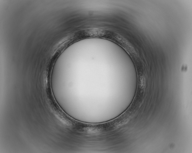 X0000096180733200802011342