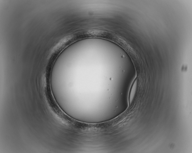 X0000096180734200802011342