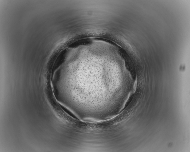 X0000096180736200802011342