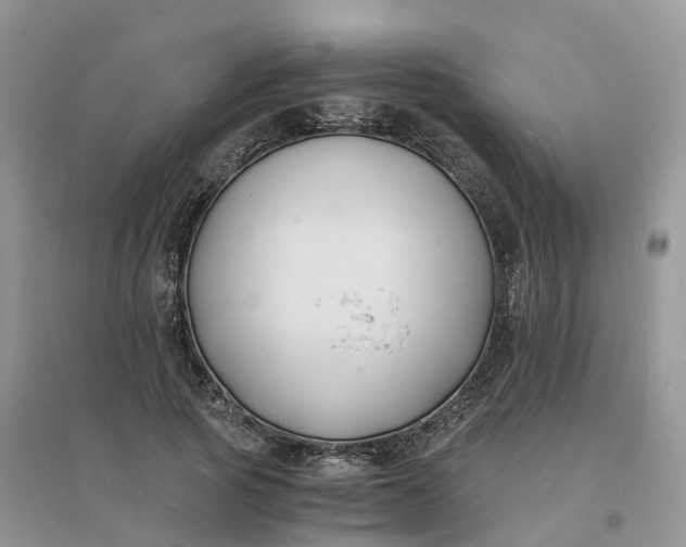 X0000096180737200802011342