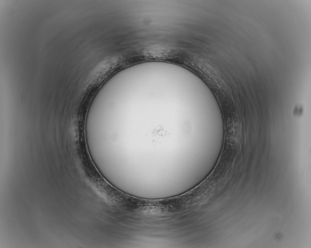 X0000096180738200802011342