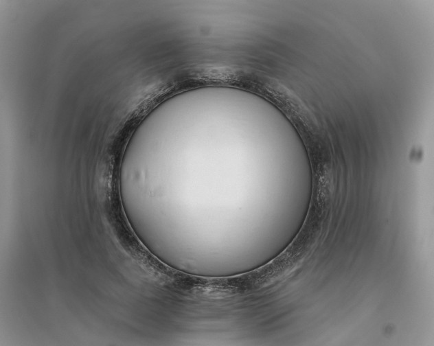 X0000096180739200802011342