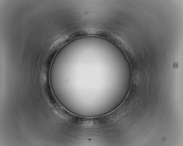 X0000096180740200802011342