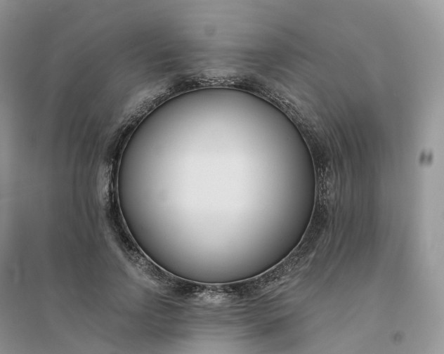 X0000096180742200802011342