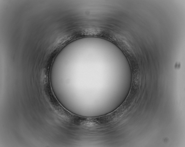 X0000096180743200802011342