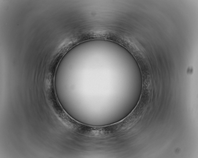 X0000096180744200802011342