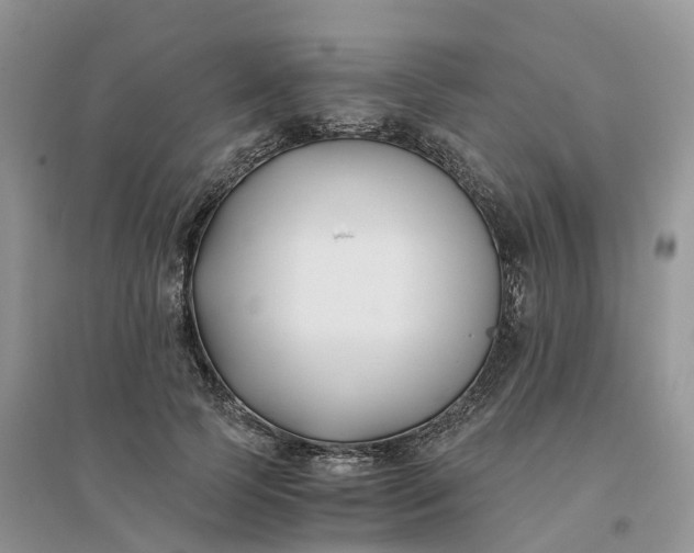 X0000096180745200802011342