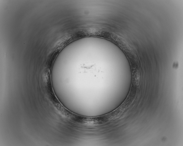 X0000096180746200802011342