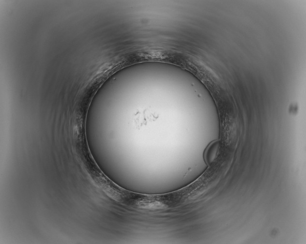 X0000096180747200802011342