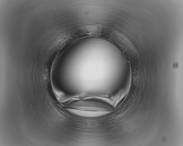 X0000096180748200802011342