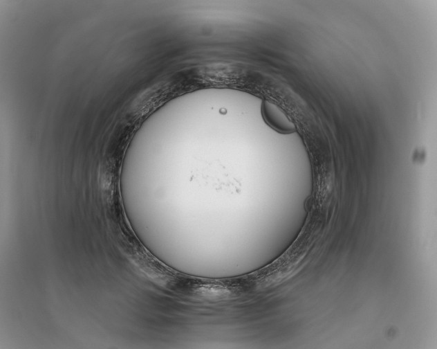 X0000096180749200802011342