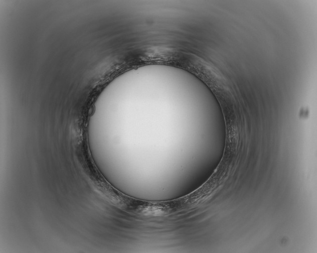 X0000096180751200802011342