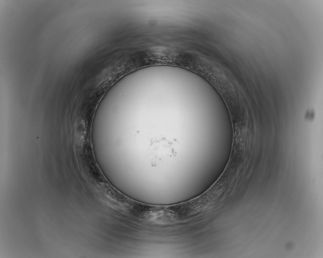 X0000096180752200802011342