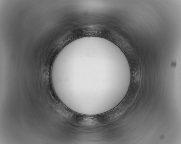 X0000096180753200802011342