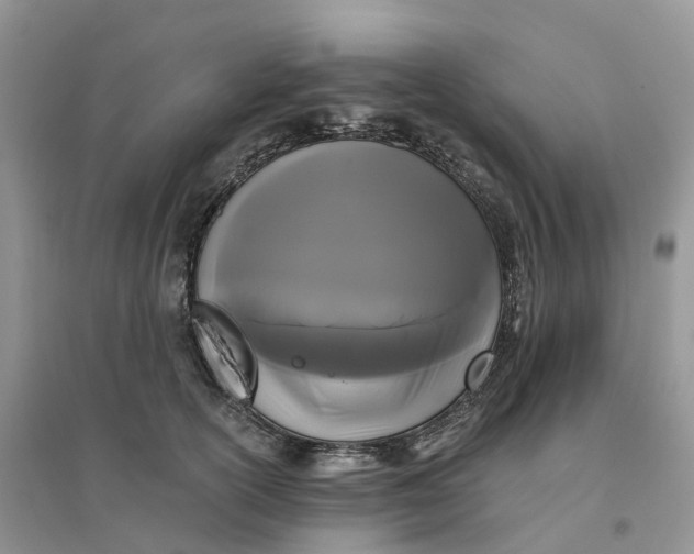 X0000096180754200802011342