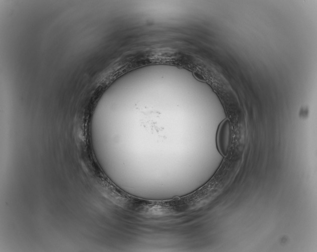 X0000096180755200802011342