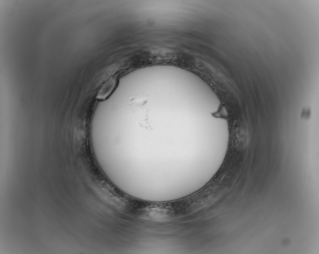 X0000096180756200802011342