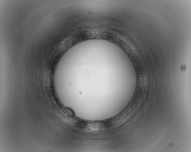 X0000096180757200802011342