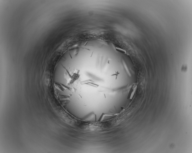 X0000096180758200802011342