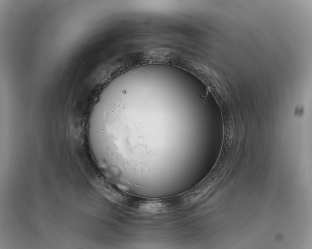 X0000096180759200802011342