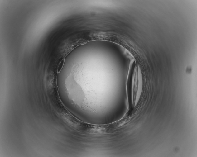 X0000096180760200802011342