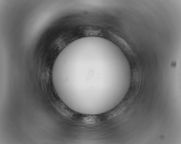 X0000096180761200802011342